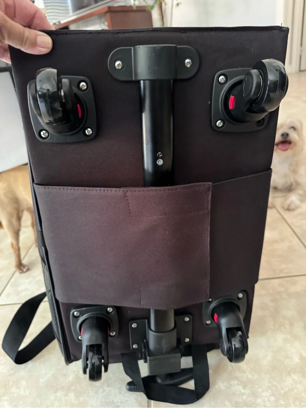 Medium Rolling Pet Carrier and Cart – Black
